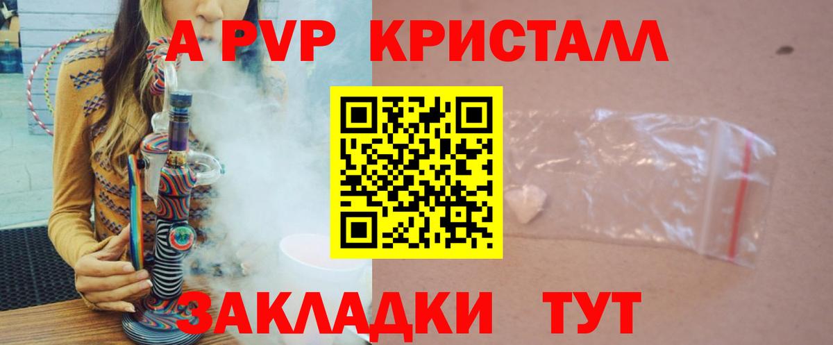 Альфа ПВП СК Северодвинск