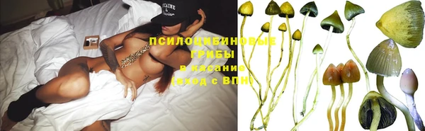 эйфоретик Абинск