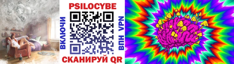 что такое наркотик Северодвинск гидра вход Галлюциногенные грибы Psilocybe