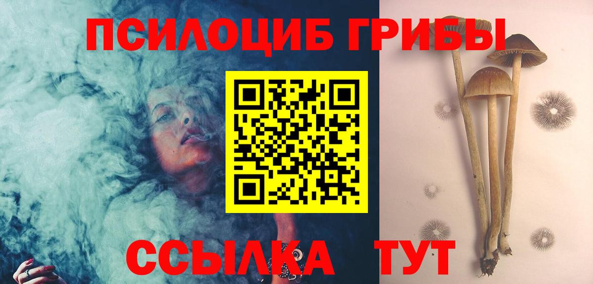 Галлюциногенные грибы мицелий  Галлюциногенные грибы мицелий  Северодвинск  Вход с VPN 